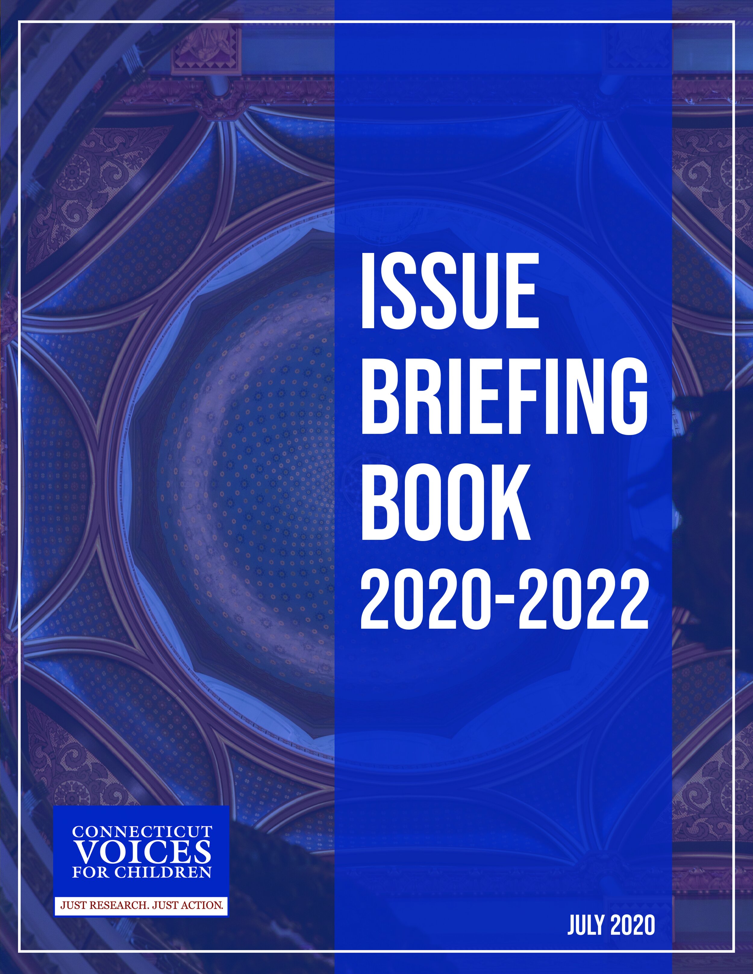 CT VOICES: Issue Briefing Book